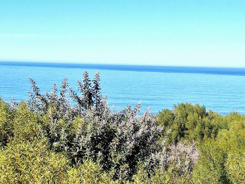 Spectacular 900m2 Vacant Land for Sale in Dana Bay - Photo 6