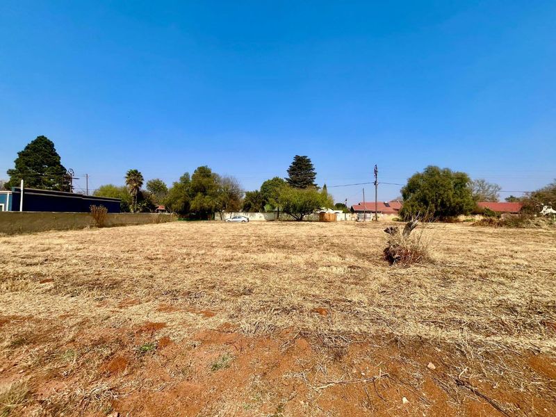A vacant residential plot featuring dry grass, mature trees, and a perimeter boundary wall, offering a clear space for future development.
