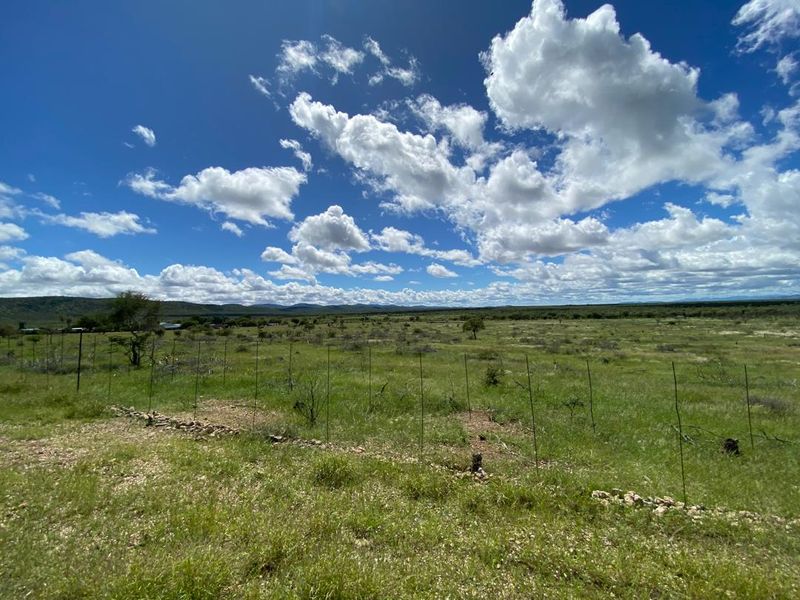 Large-Scale  Game Farm for Sale – Power, Production & Potential - Photo 5