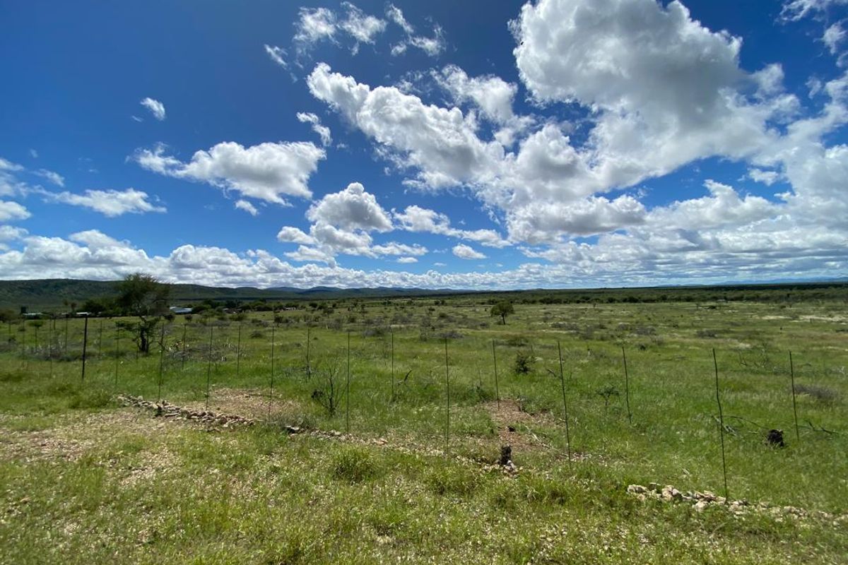 Large-Scale  Game Farm for Sale – Power, Production & Potential - Photo 5