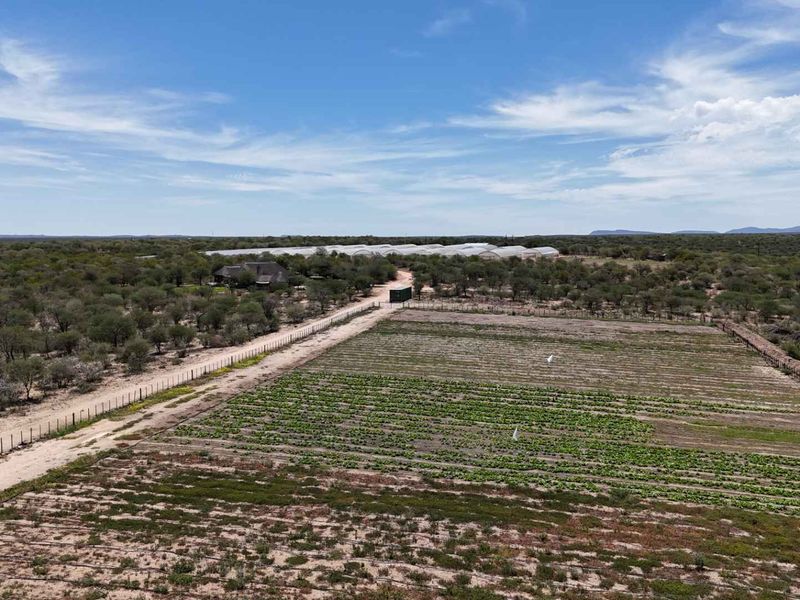Idyllic 25Ha Horticultural Plot for sale with stunning views and a thriving vegetable farm! A true gem near Okahandja! - Photo 5