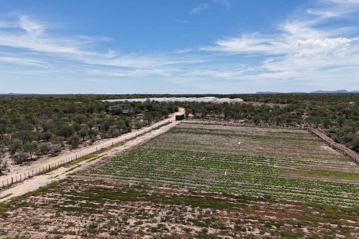 Idyllic 25Ha Horticultural Plot for sale with stunning views and a thriving vegetable farm! A true gem near Okahandja! - Photo 5