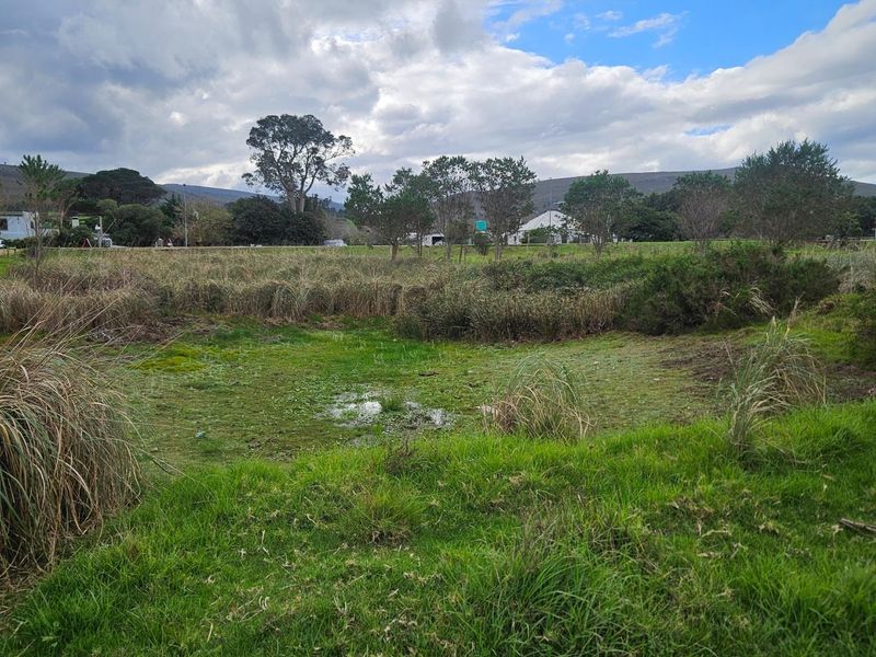 Expansive 10.97 Hectare Lifestyle Farm with Scenic Views - Photo 6