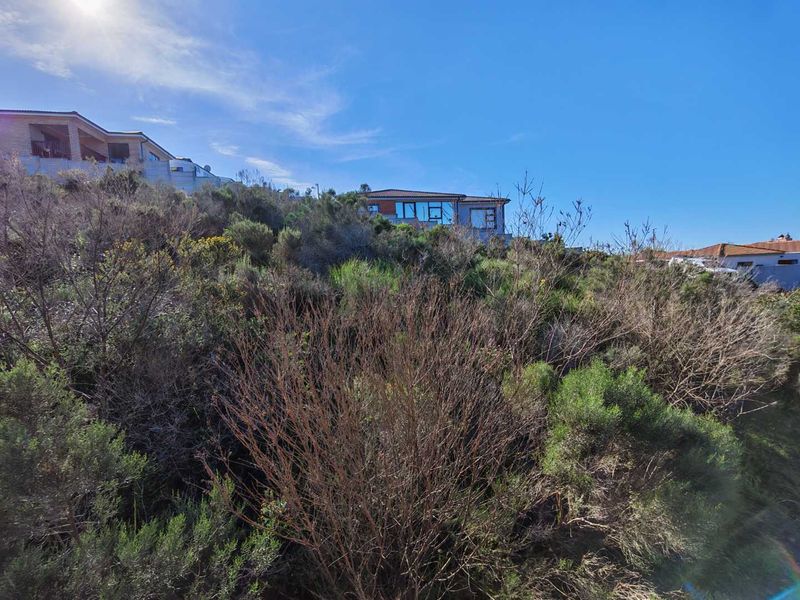 A view of a sloped, undeveloped residential plot featuring natural vegetation and surrounding neighborhood homes.