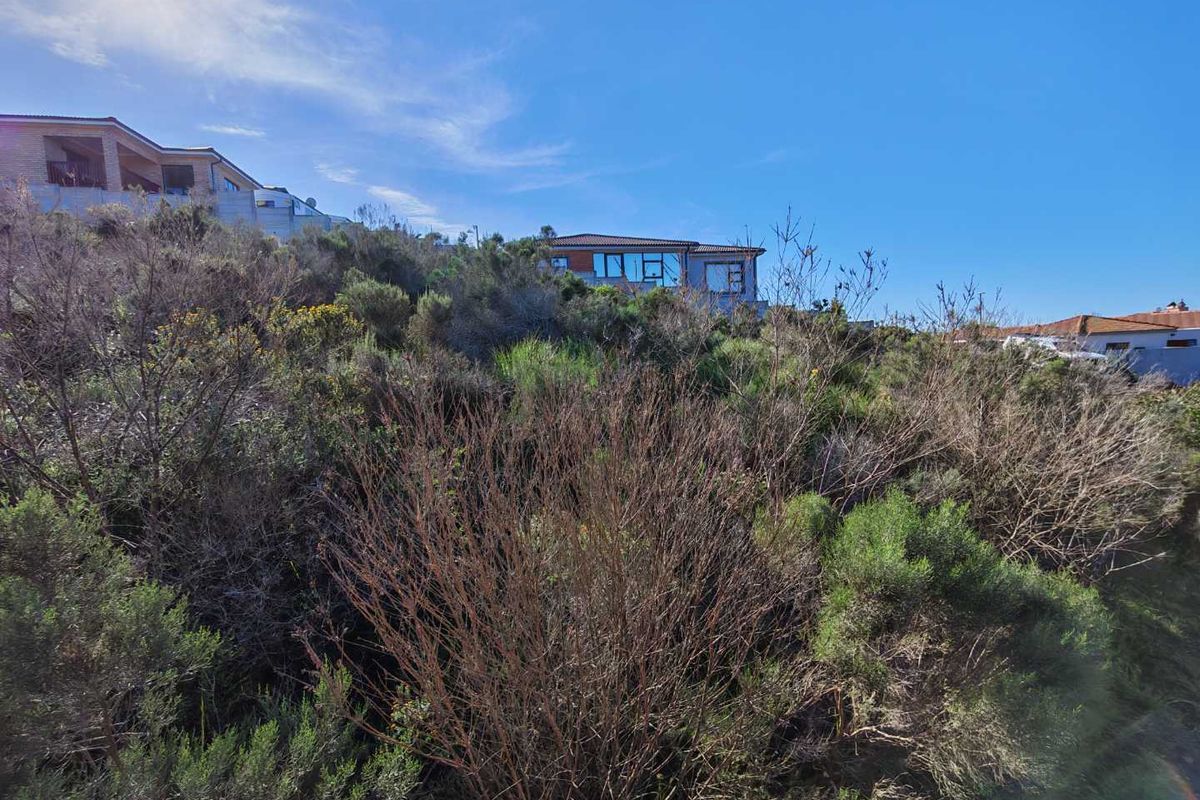 A view of a sloped, undeveloped residential plot featuring natural vegetation and surrounding neighborhood homes.
