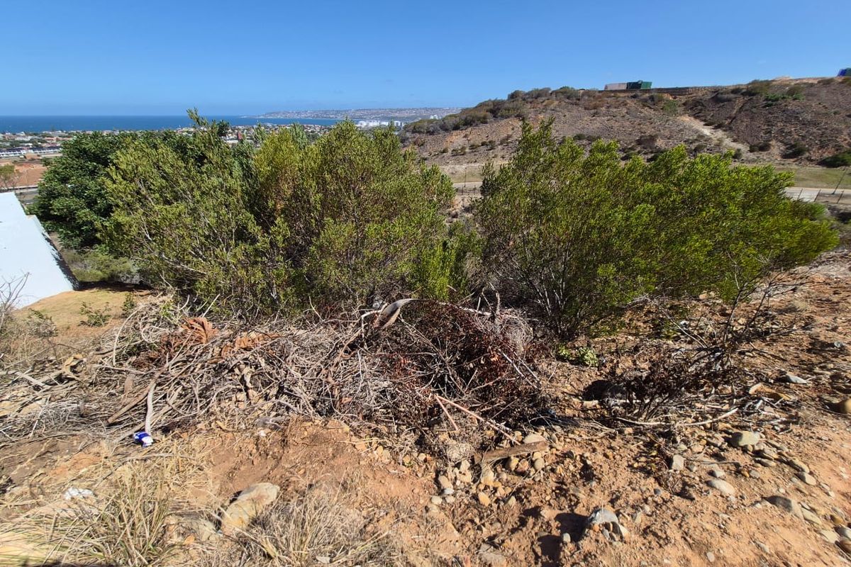 Prime Vacant Stand with Panoramic Ocean Views in Menkenkop, Hartenbos - Photo 3