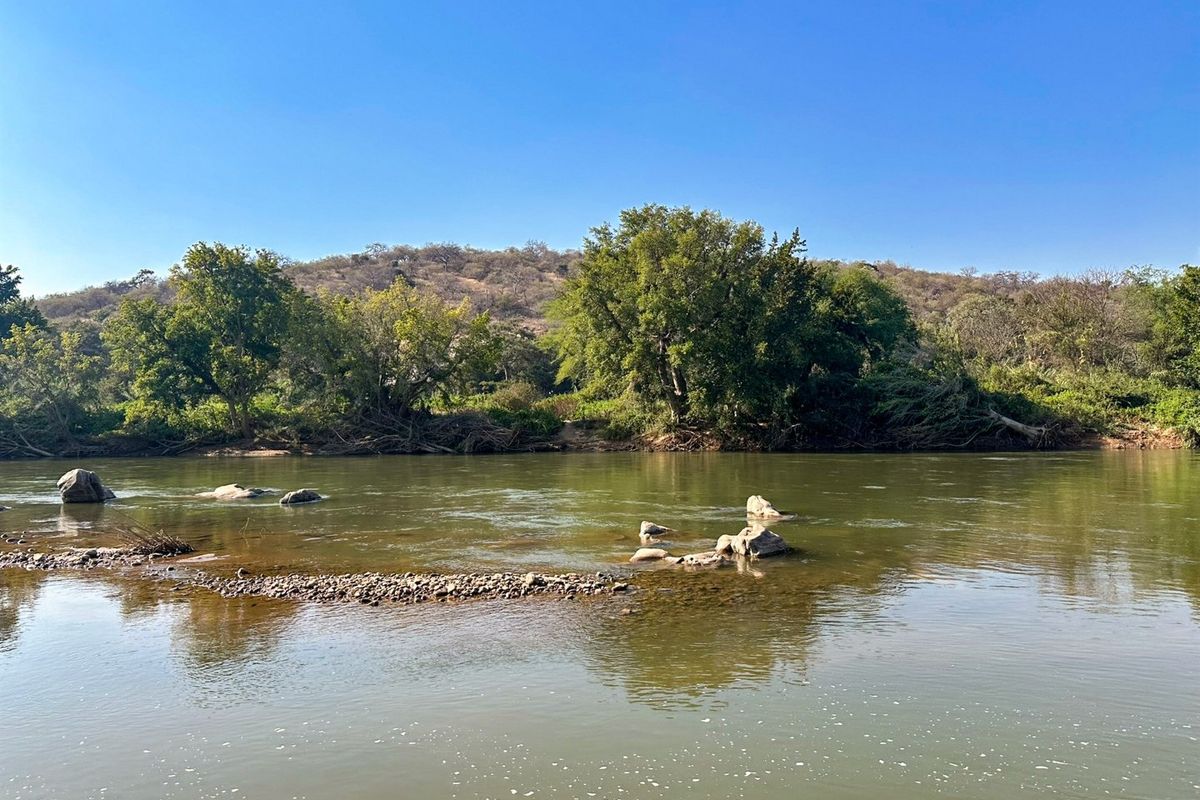 Exceptional Bushveld Stand with River Access - Photo 2