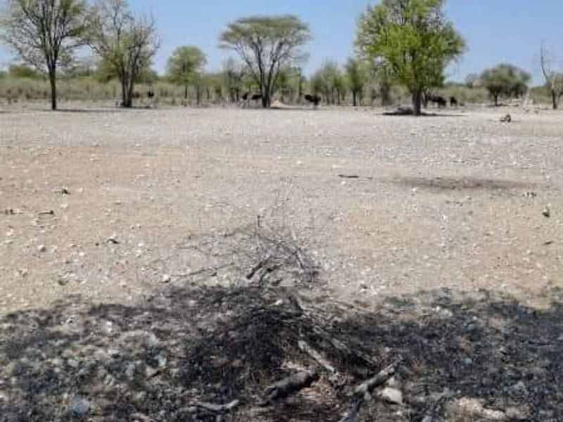 COMMERCIAL FARM FOR SALE IN TSUMEB DISTRICT - Photo 8