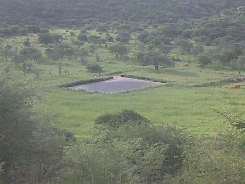 16 Ha Brakwater plot for sale - Photo 6