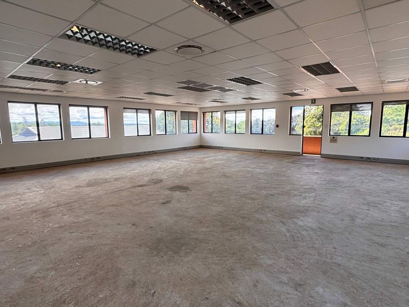 Spacious open-plan office area featuring a suspended ceiling, recessed lighting, and large windows providing ample natural light and views.