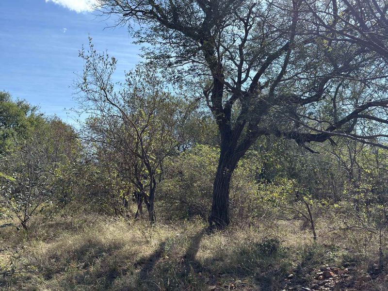 Beautiful Bushveld Views in Elephant Rock Eco Estate - Photo 6