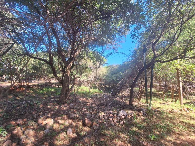 Prime 800m2 Plot in Leeupoort - Tranquil Retreat - Photo 4