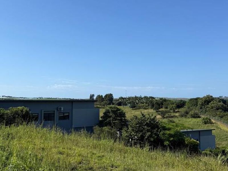 Vacant Land Palm Lakes Estate - Photo 2