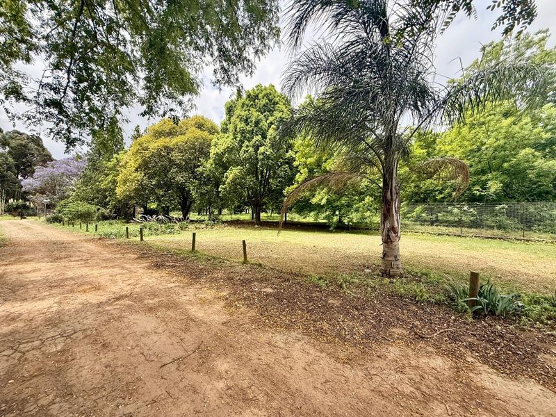 Prime Investment Opportunity – Multi-Income Property on 32.59 Hectares smallholding - Photo 10