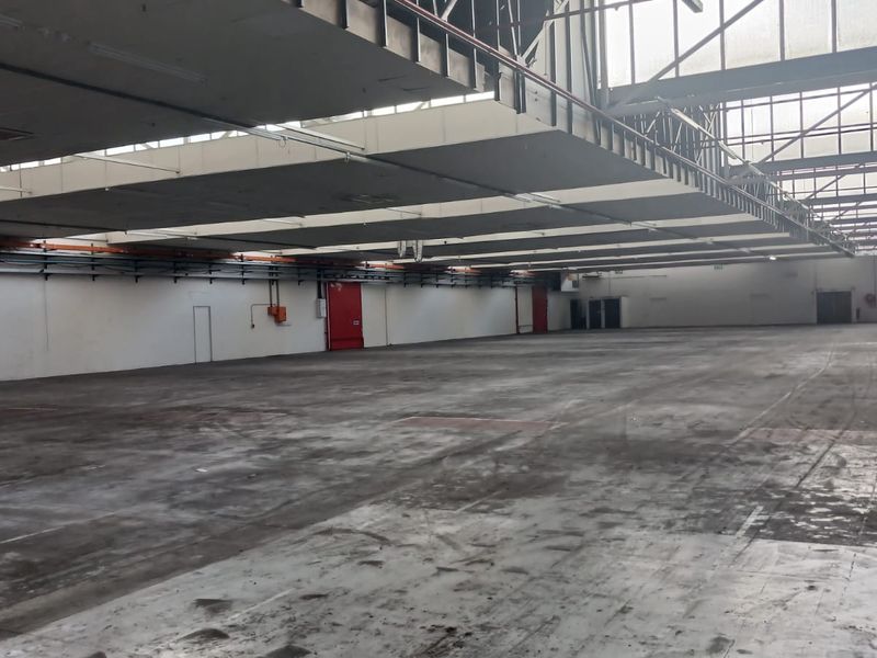 A large, open-plan industrial warehouse space featuring high ceilings with exposed steel trusses, concrete flooring, and integrated fire safety systems.