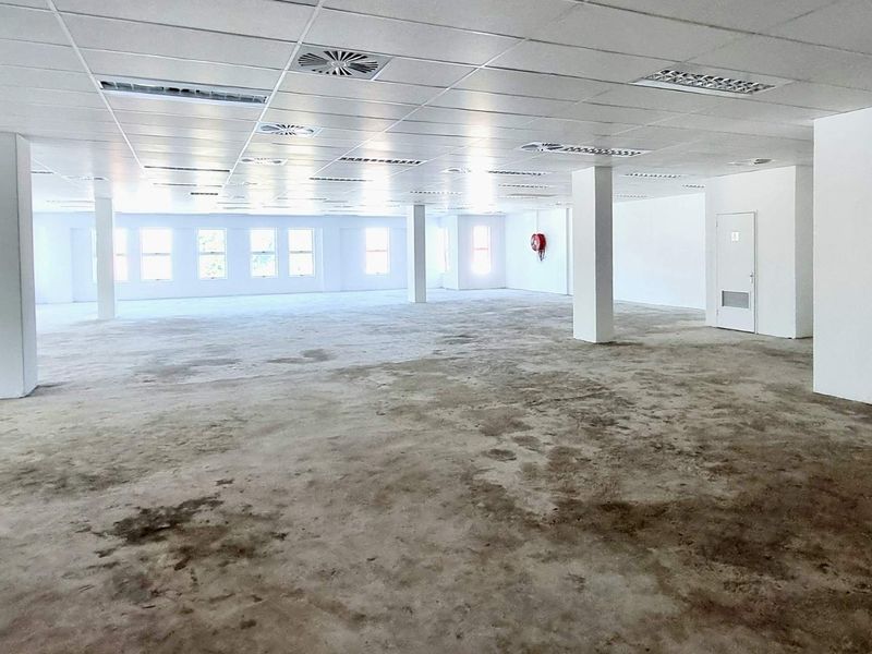 Commercial building 1,114.91m2 Florida Road asset for sale | Part tenanted, part vacant | Signage, parking & prime positioning included - Photo 3