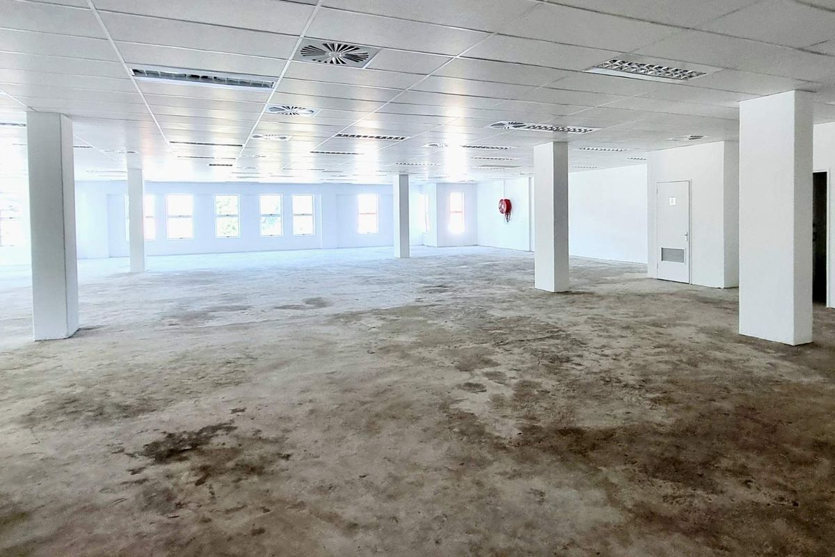 Commercial building 1,114.91m2 Florida Road asset for sale | Part tenanted, part vacant | Signage, parking & prime positioning included - Photo 3