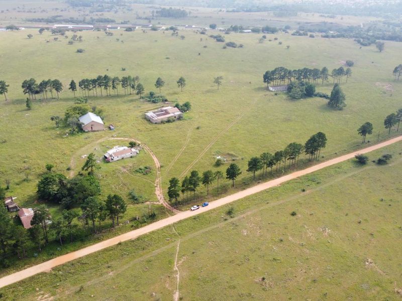 This Beautiful Stand/Farm is situated in the Heart of The Cradle of Humankind. - Photo 4