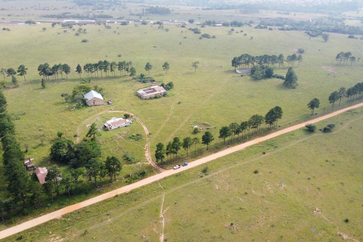 This Beautiful Stand/Farm is situated in the Heart of The Cradle of Humankind. - Photo 4