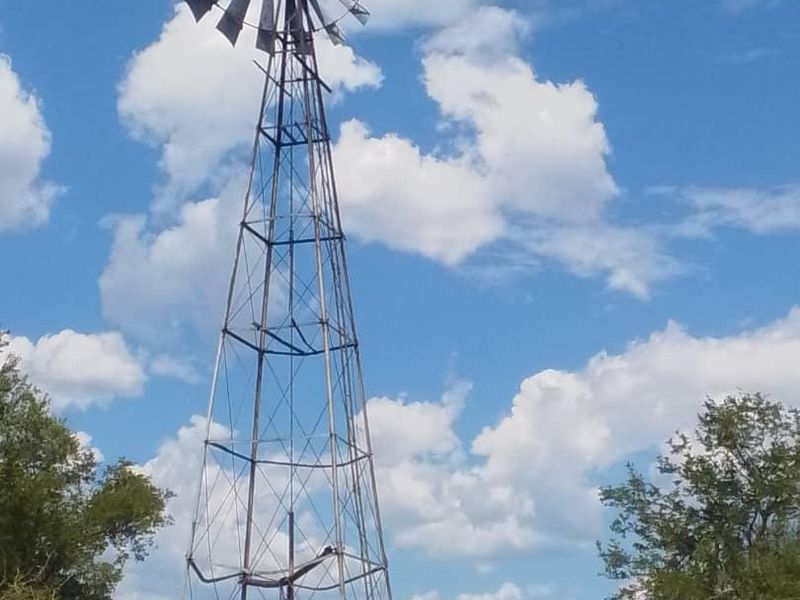 Game Farm For Sale - Oshikoto Region- Near Etosha - Photo 6