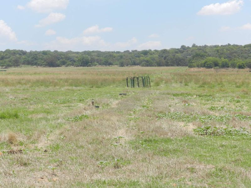 Exceptional 44-Hectare Agricultural Farm for Sale – Hekpoort (Farm 268 & 309) - Photo 7