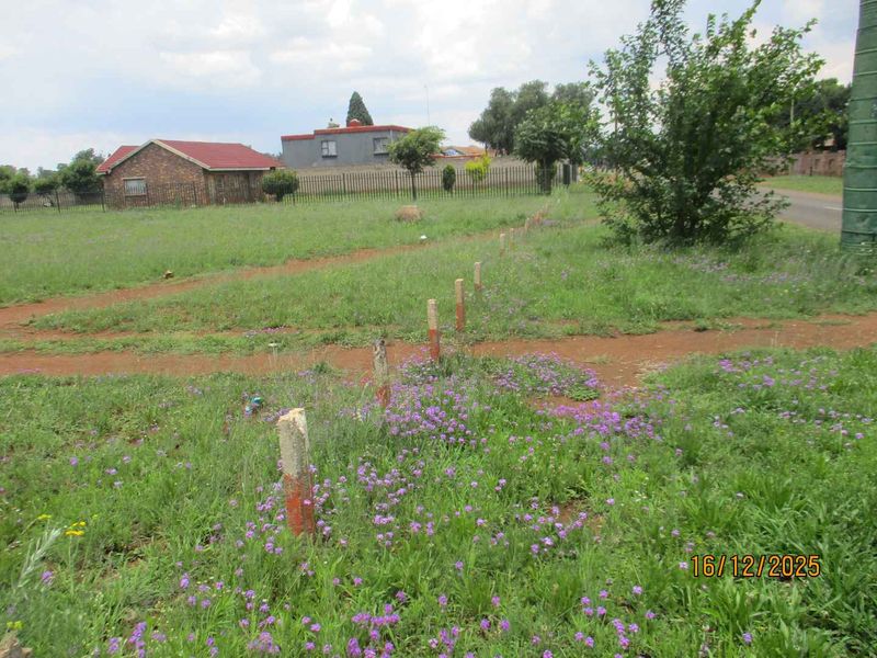 Enjoy the tranquility and peace of Henley - Photo 6