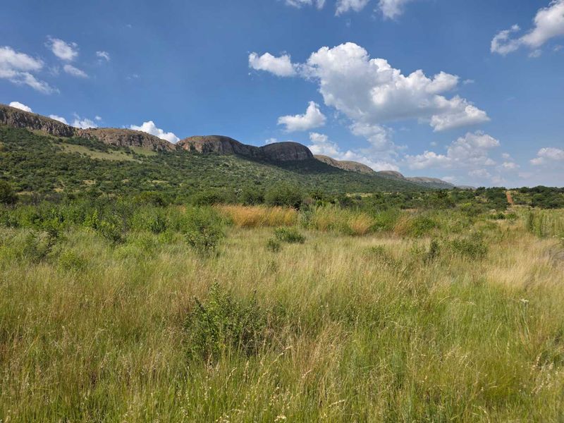 Flooded with natural light and views - Photo 4