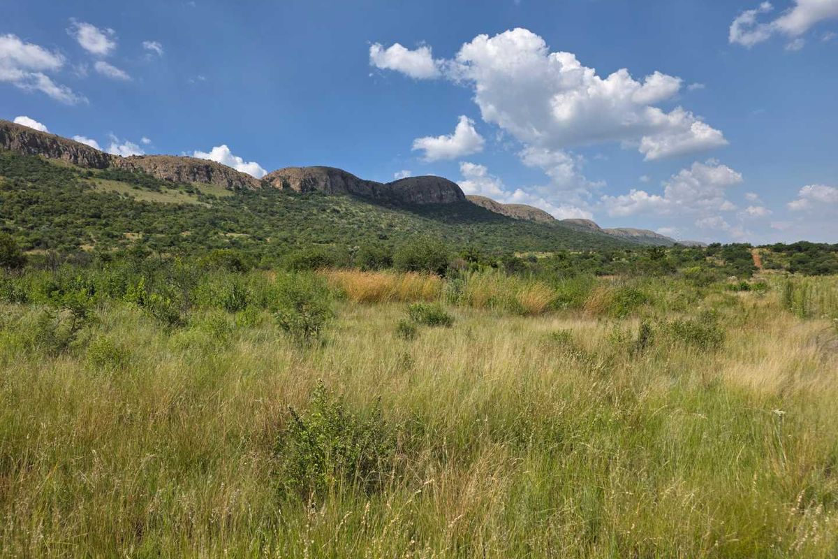 Flooded with natural light and views - Photo 4