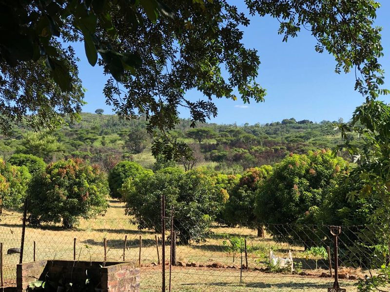 The Perfect Retreat: Farm Life Close to Tzaneen! - Photo 5