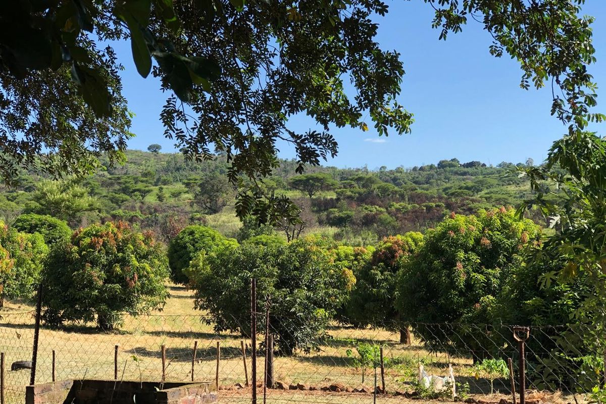 The Perfect Retreat: Farm Life Close to Tzaneen! - Photo 5