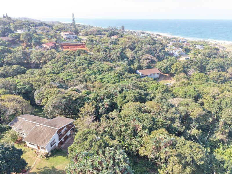 An aerial view of a coastal residential area featuring dense indigenous vegetation, established homes, and proximity to the ocean.