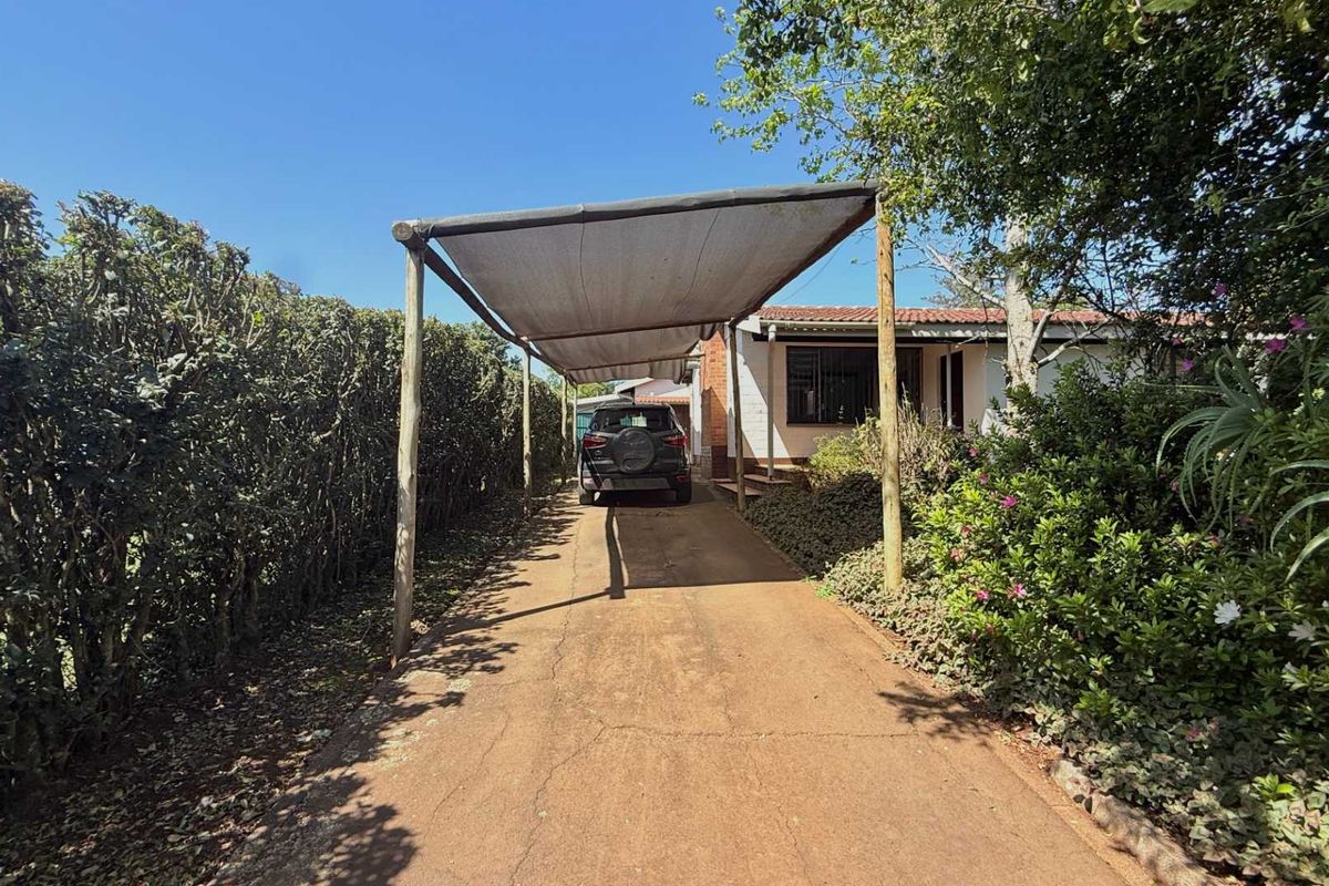 Front exterior view featuring a concrete driveway with a timber-framed shade cloth carport and established garden hedging.