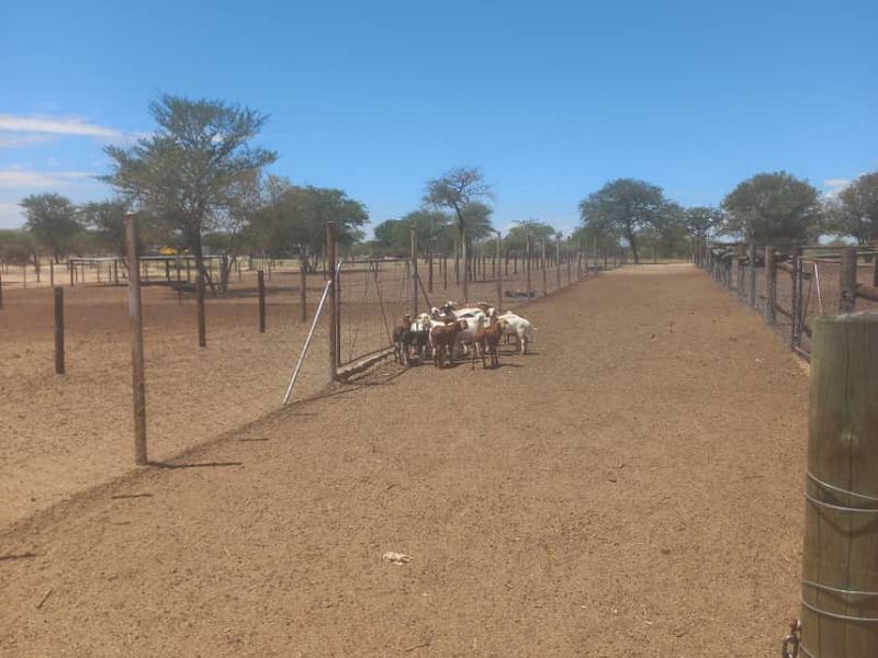 Ozombanda, Okahandja:  Agricultural Smallholding is for Sale - Photo 9