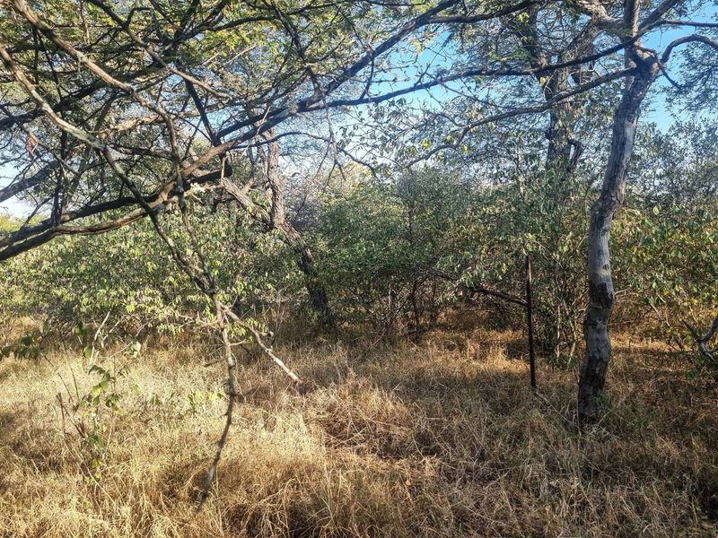 Stand with Bushveld views. - Photo 5