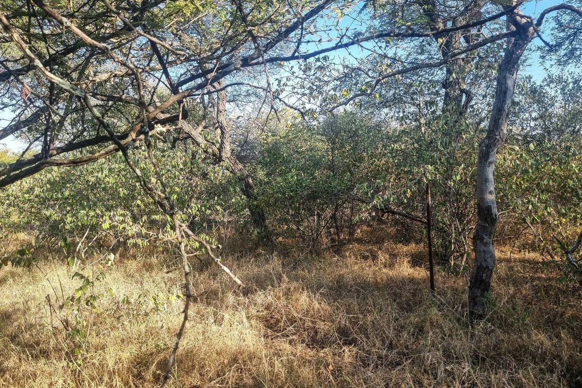 Stand with Bushveld views. - Photo 5