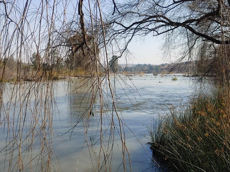 A scenic view of the river flowing through the agricultural land, framed by mature trees and natural vegetation.