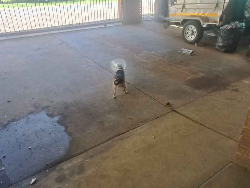A functional garage space featuring concrete flooring and a brick pillar, currently showing signs of wear and surface cracking.