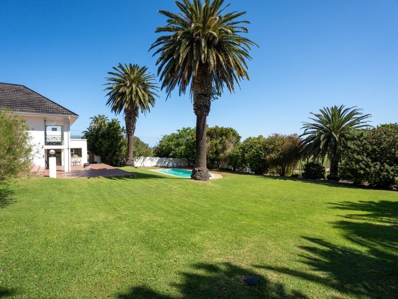 Spacious rear garden featuring a well-maintained lawn, mature palm trees, a swimming pool, and an attached tiled patio area.
