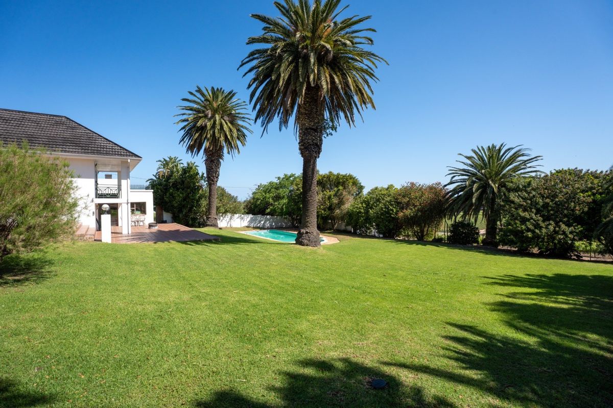 Spacious rear garden featuring a well-maintained lawn, mature palm trees, a swimming pool, and an attached tiled patio area.