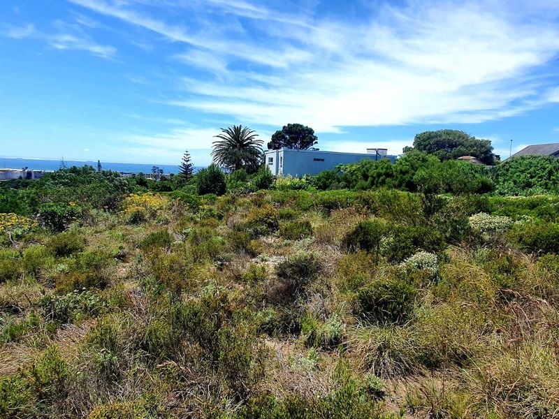 A scenic view overlooking a coastal landscape with native vegetation and distant ocean horizon.