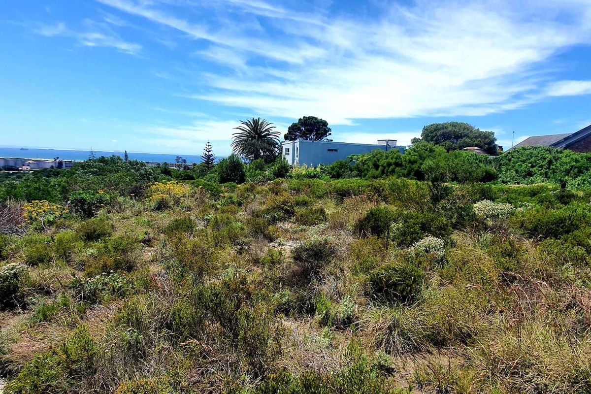 A scenic view overlooking a coastal landscape with native vegetation and distant ocean horizon.