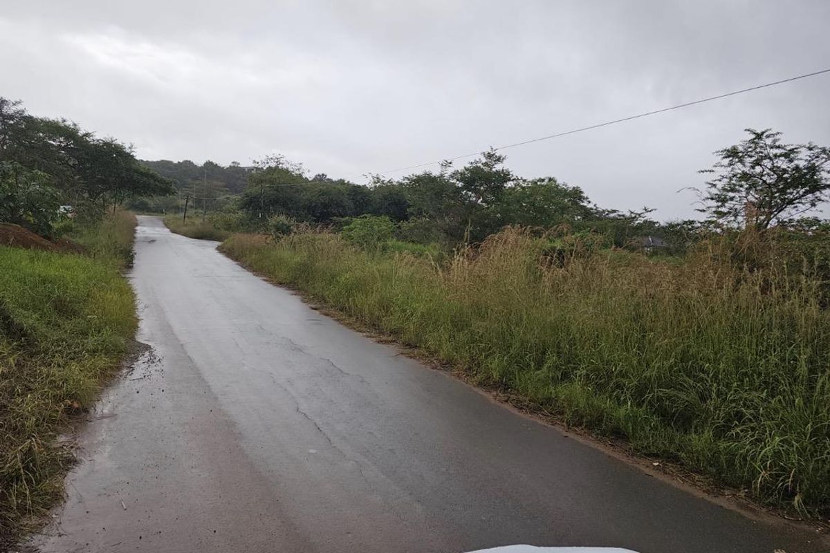 A view of the asphalt access road leading to the vacant residential land, featuring surrounding natural vegetation and overhead utility lines.