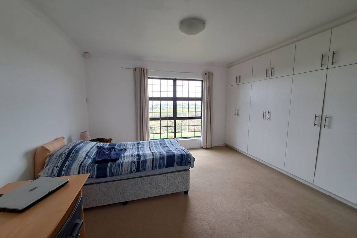 Spacious bedroom featuring wall-to-wall built-in cabinetry, neutral carpeting, and a large window providing natural light and exterior views.