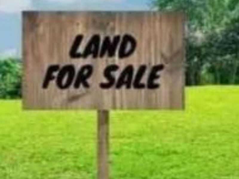 ONGWEDIVA - EXT 4 - COMMERCIAL BUSINESS LAND FOR SALE - Photo 3