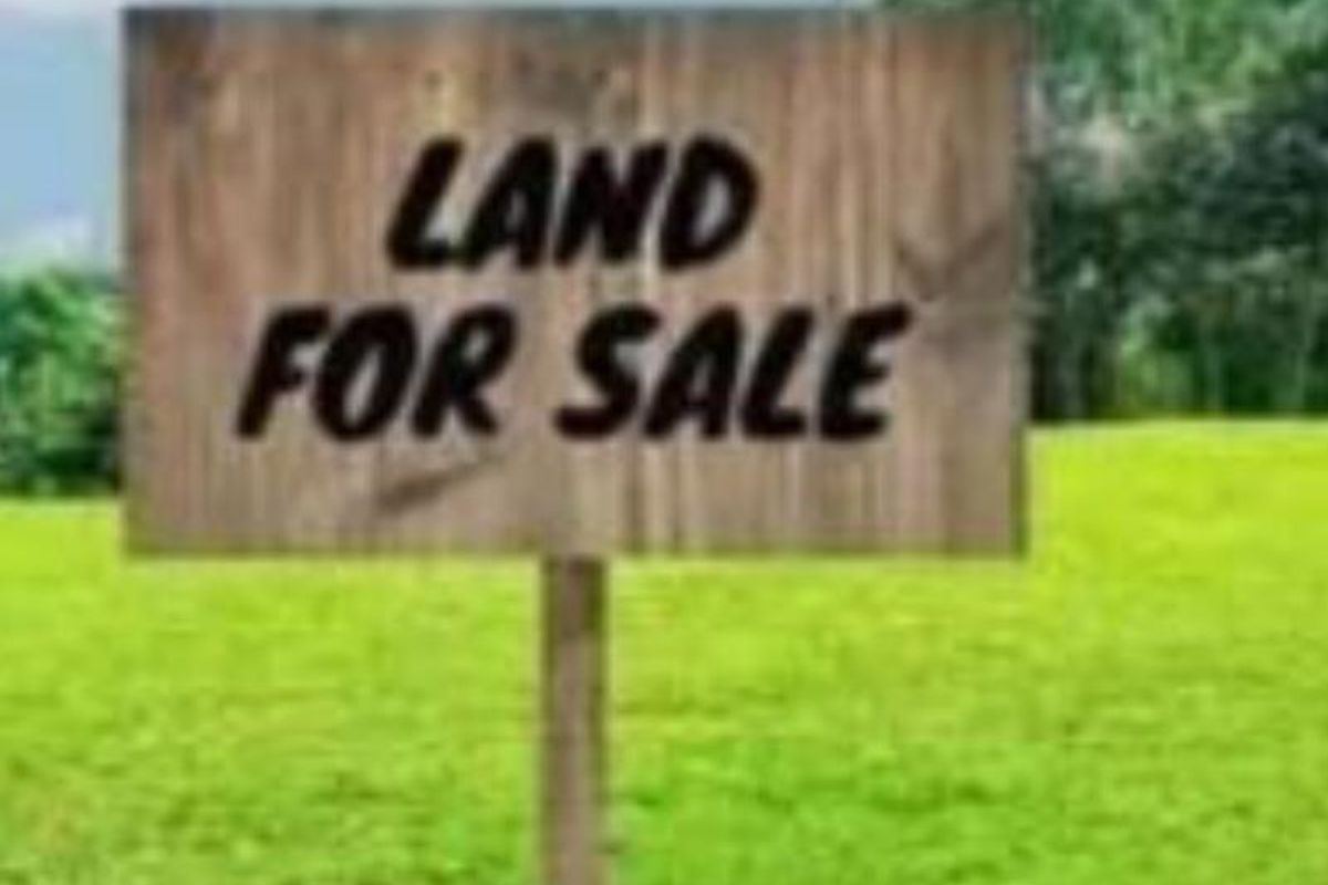 ONGWEDIVA - EXT 4 - COMMERCIAL BUSINESS LAND FOR SALE - Photo 3