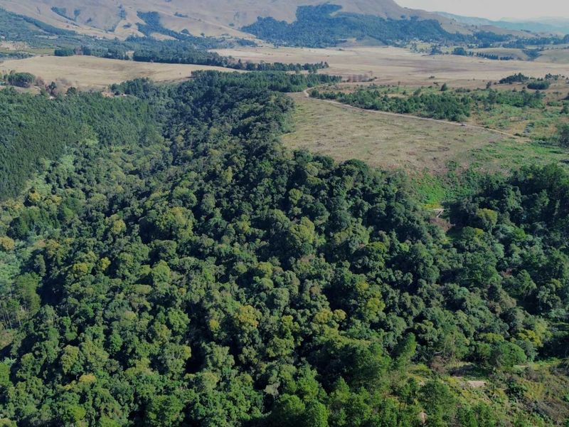 25-Hectare Vacant Land with Forest and Panoramic Views in the Midlands, Howick Rural - Photo 5