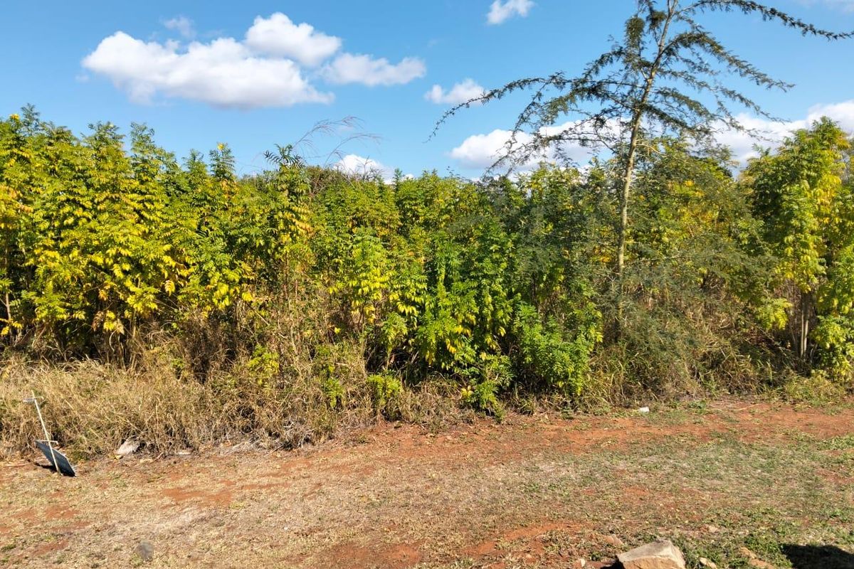 Vacant land for sale Malelane - Photo 3