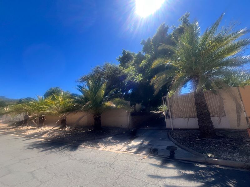 Front exterior view of the property featuring a gated driveway entrance, perimeter wall, and mature palm trees along the street frontage.