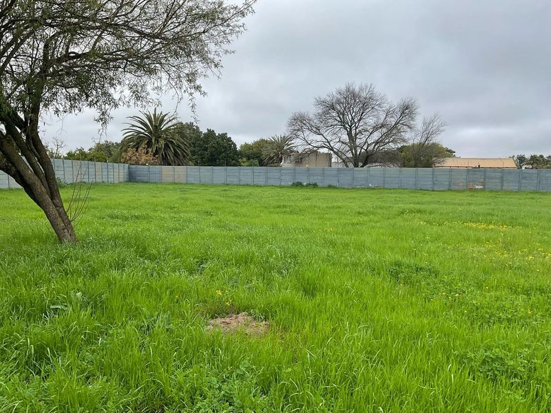 PRIME MULTI PURPOSE PROPERTY FOR SALE IN JOOSTENBERGVLAKTE - Photo 9