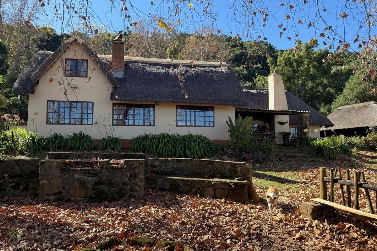 Midlands Lifestyle Farm with Forest, Views & Spring Water, Balgowan, Howick - Photo 3